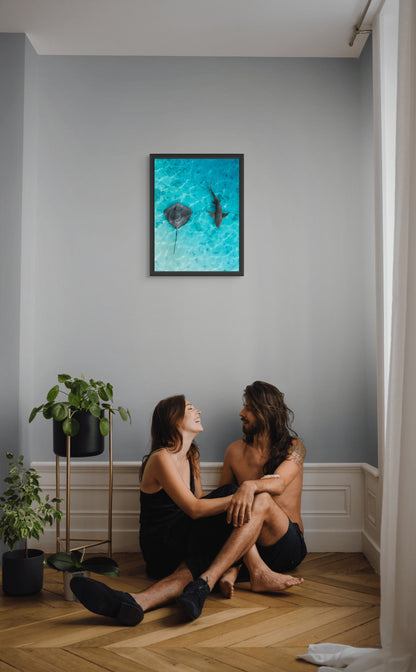 Sea harmony
