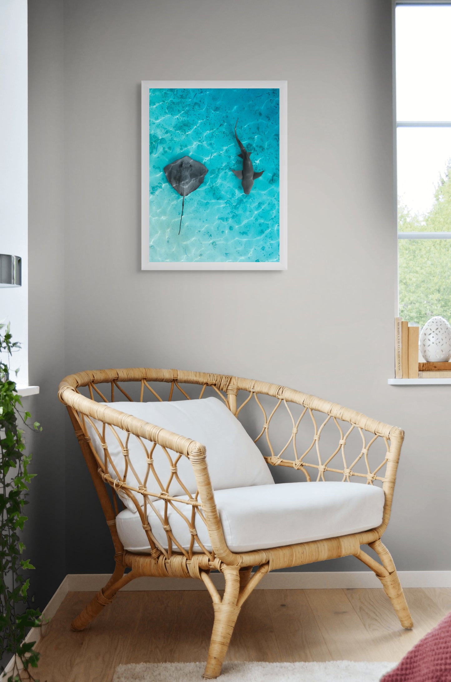 Sea harmony