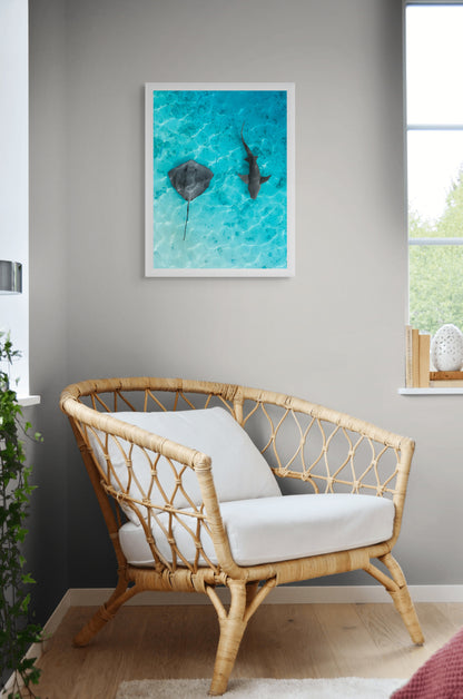 Sea harmony