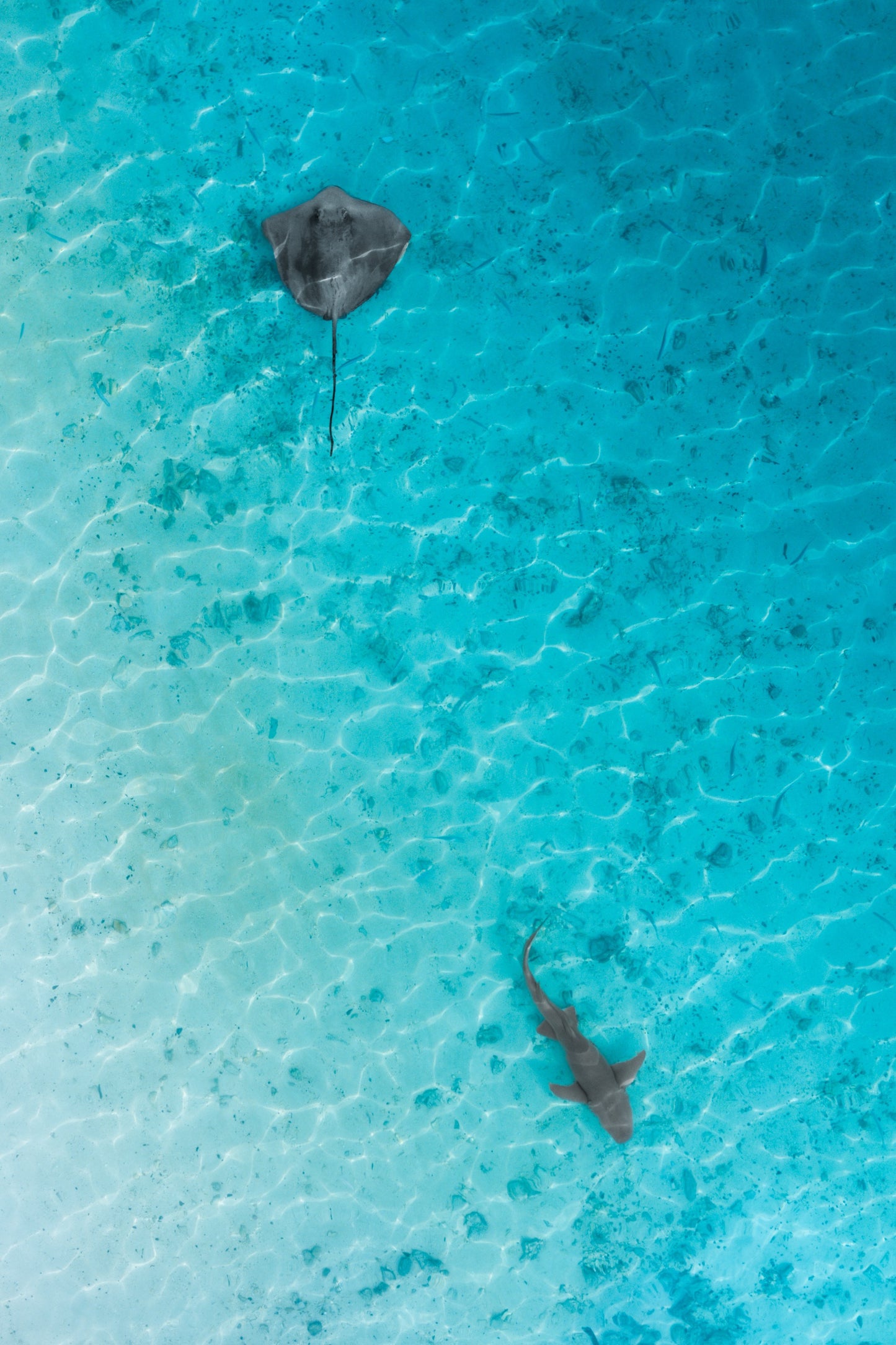 Crossroads in the shallows