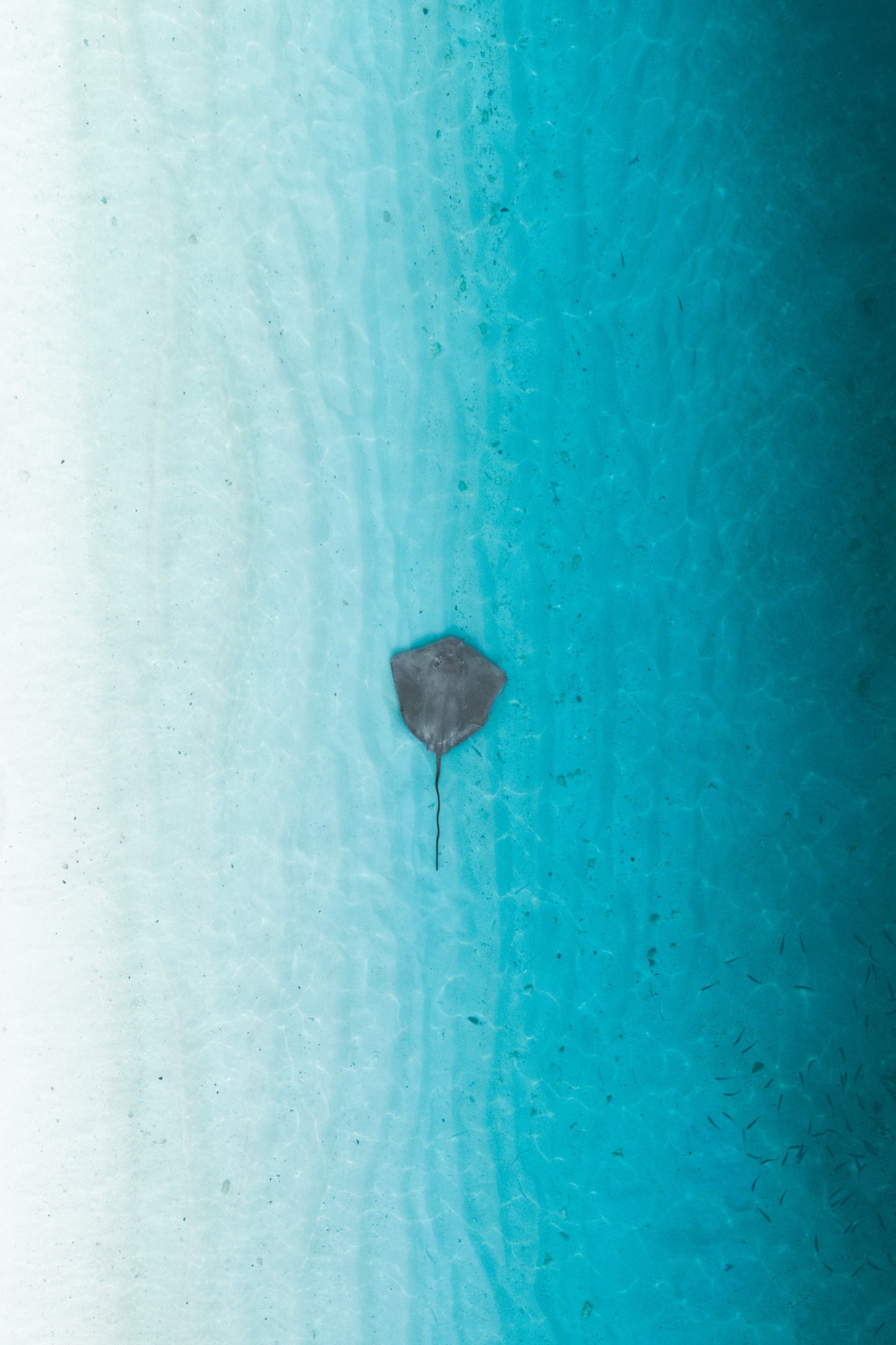 Liquid gradient