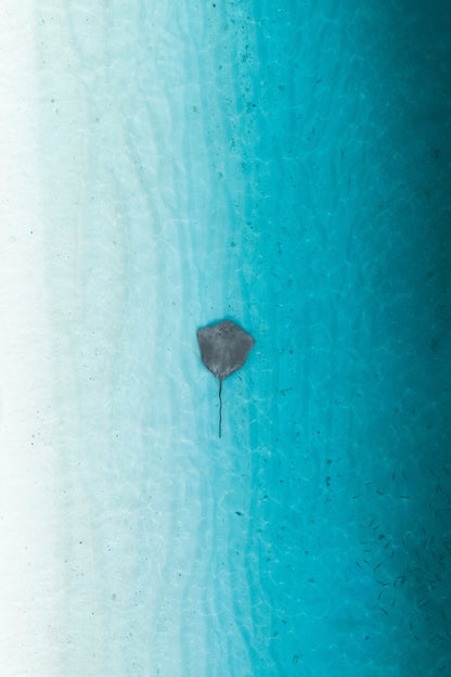 Liquid gradient
