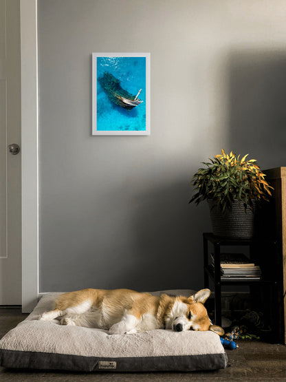 Ghost of the sea