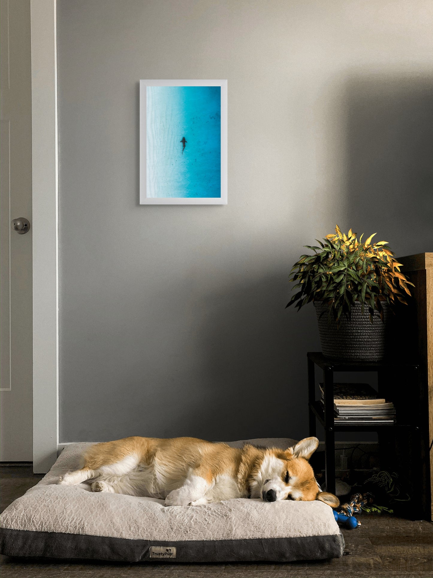 Gradient patrol