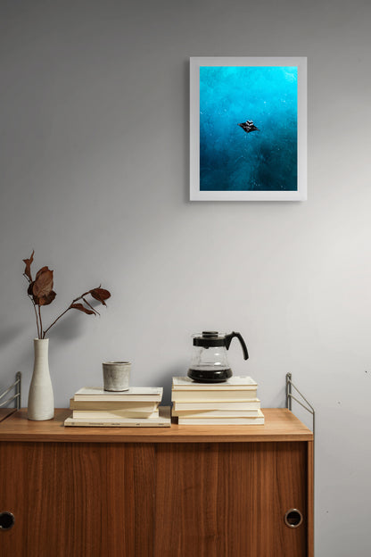 Wings of water