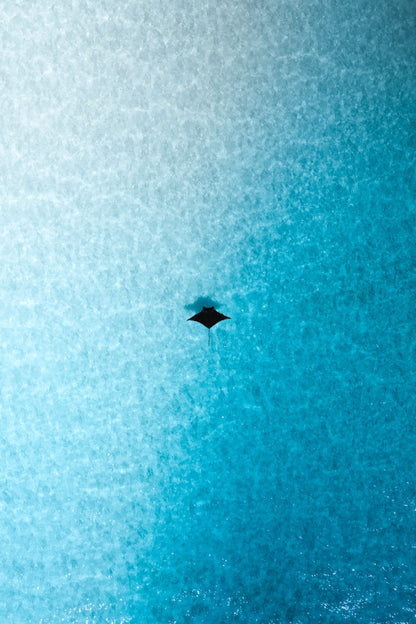 Ocean symmetry