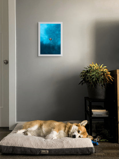 A visitor from the deep