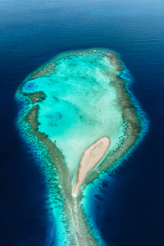 Heart of the reef