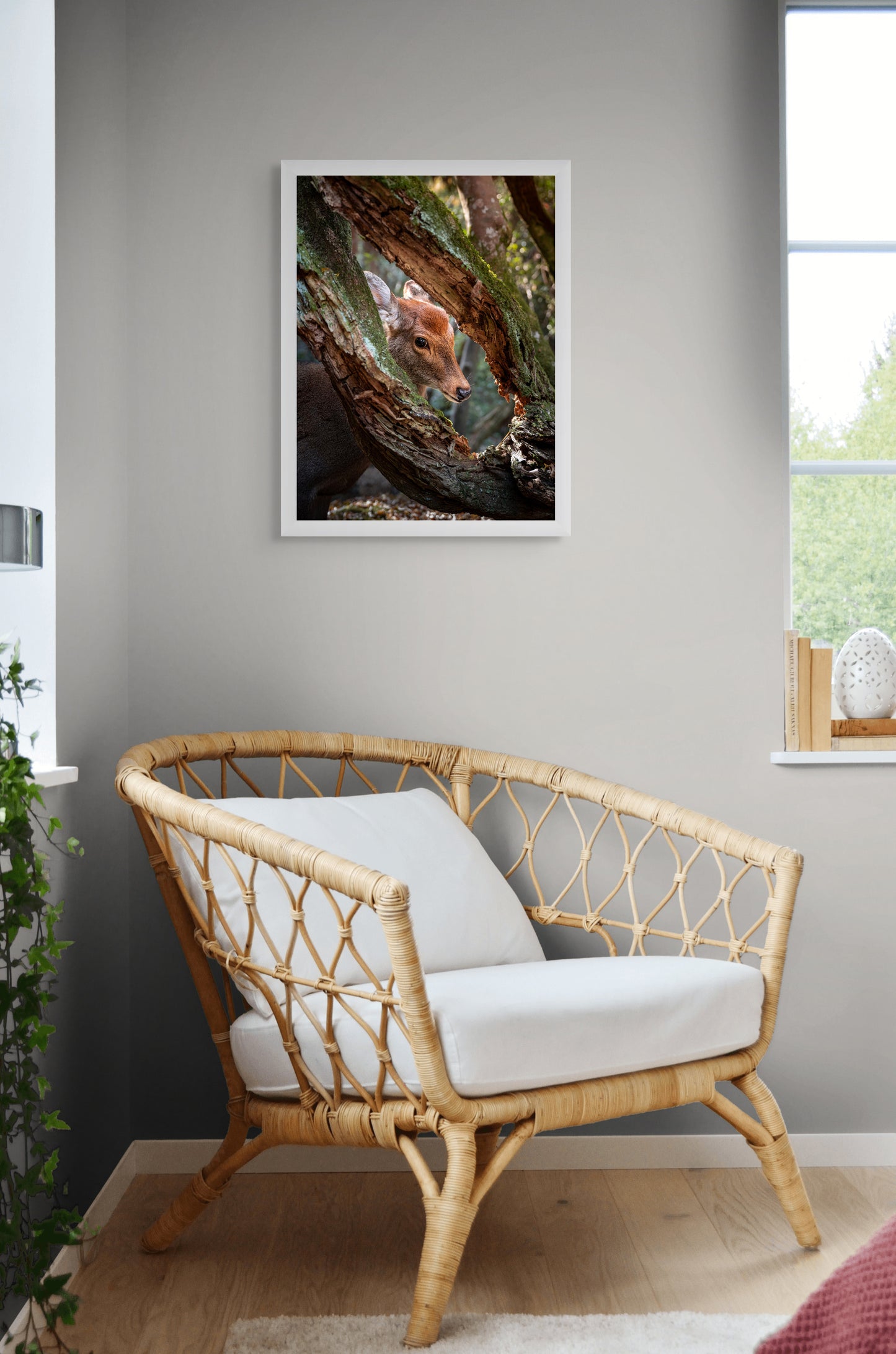 Framed by the forest