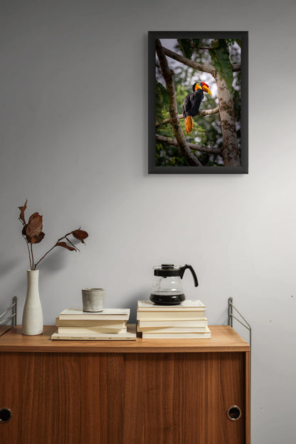 Jungle monarch