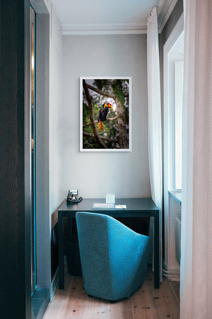 Jungle monarch