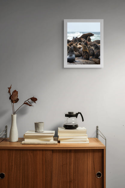 Life on the rocks