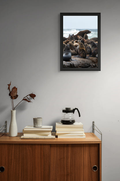 Life on the rocks