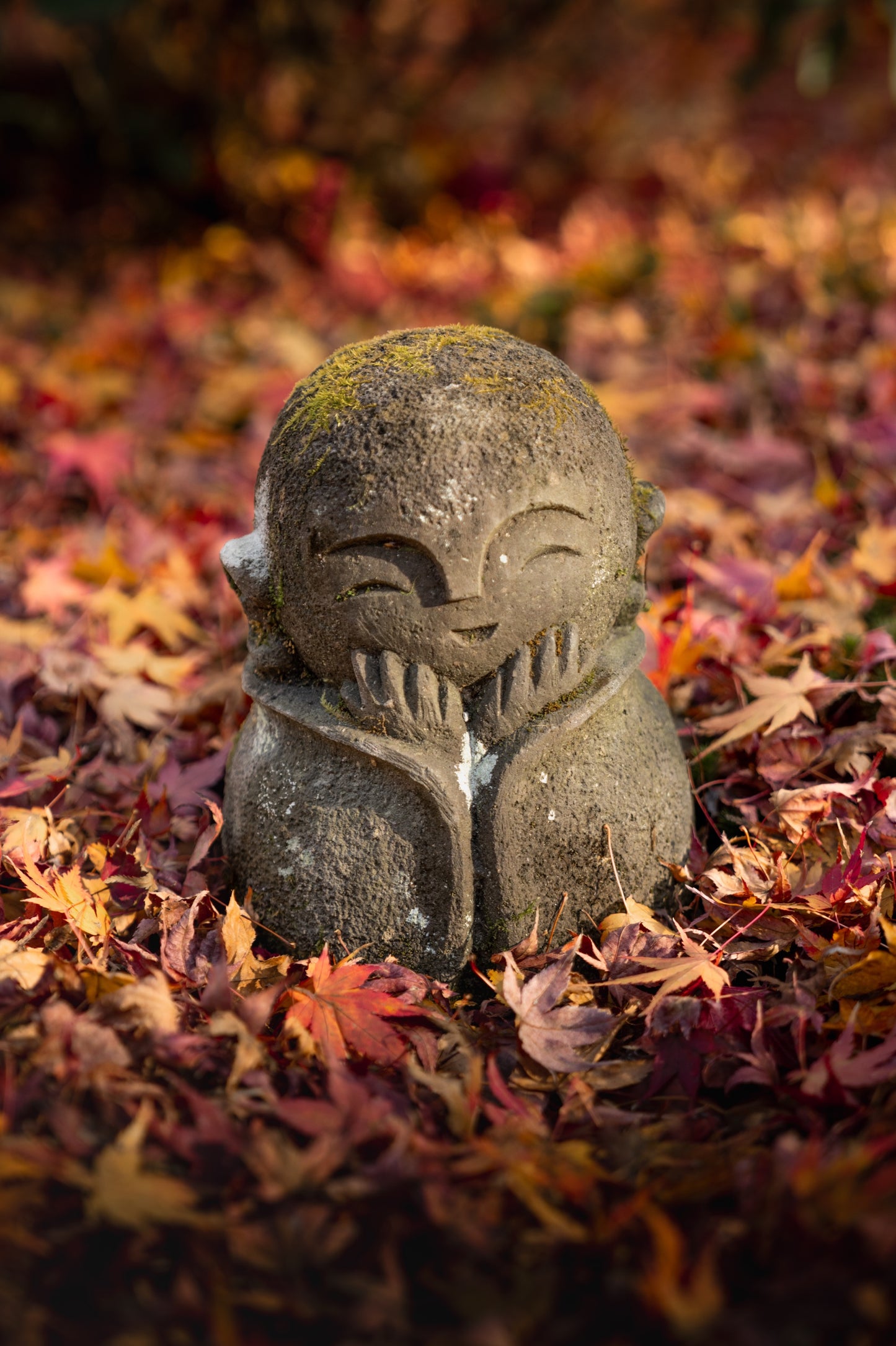 Autumn guardian