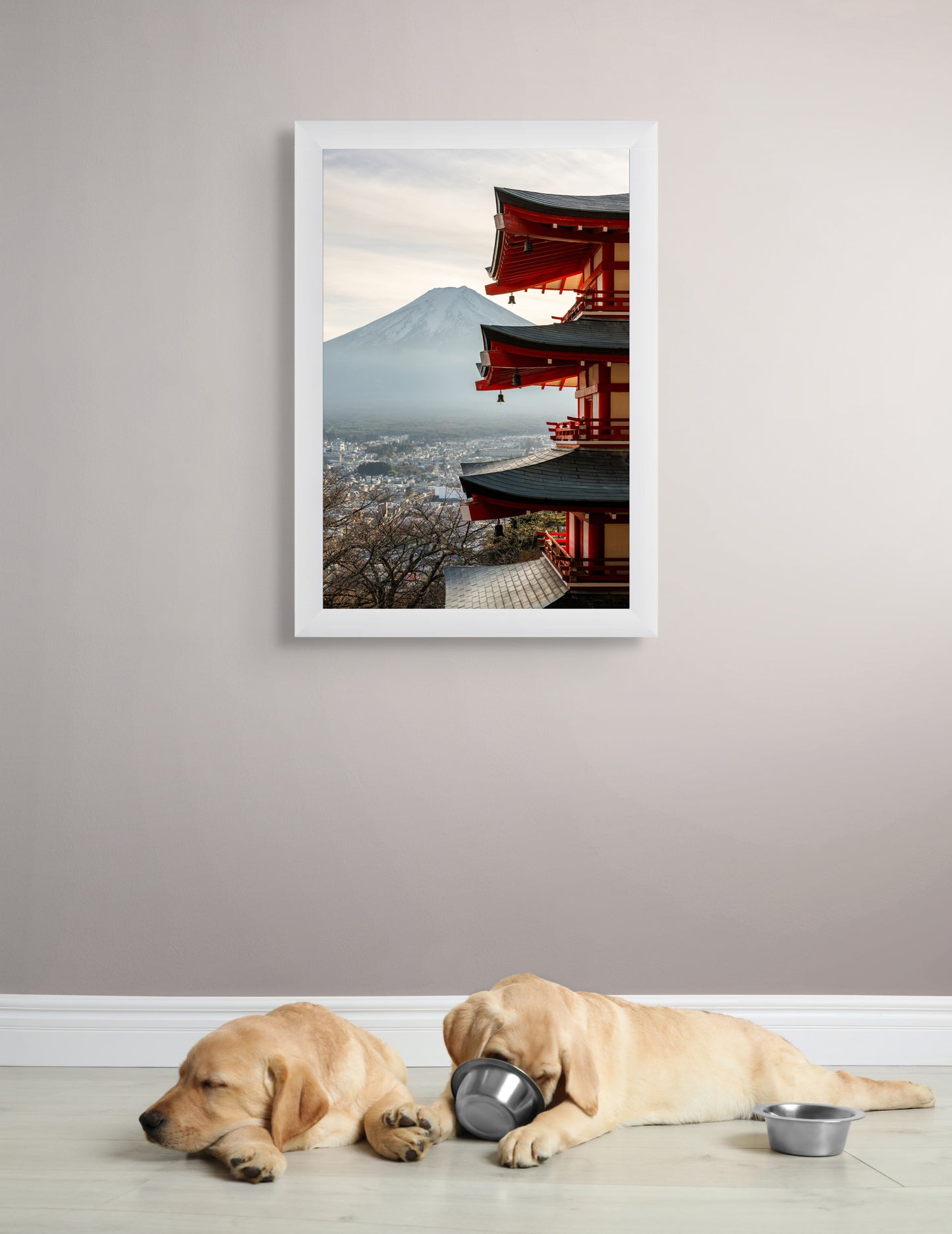Fuji framed in tradition