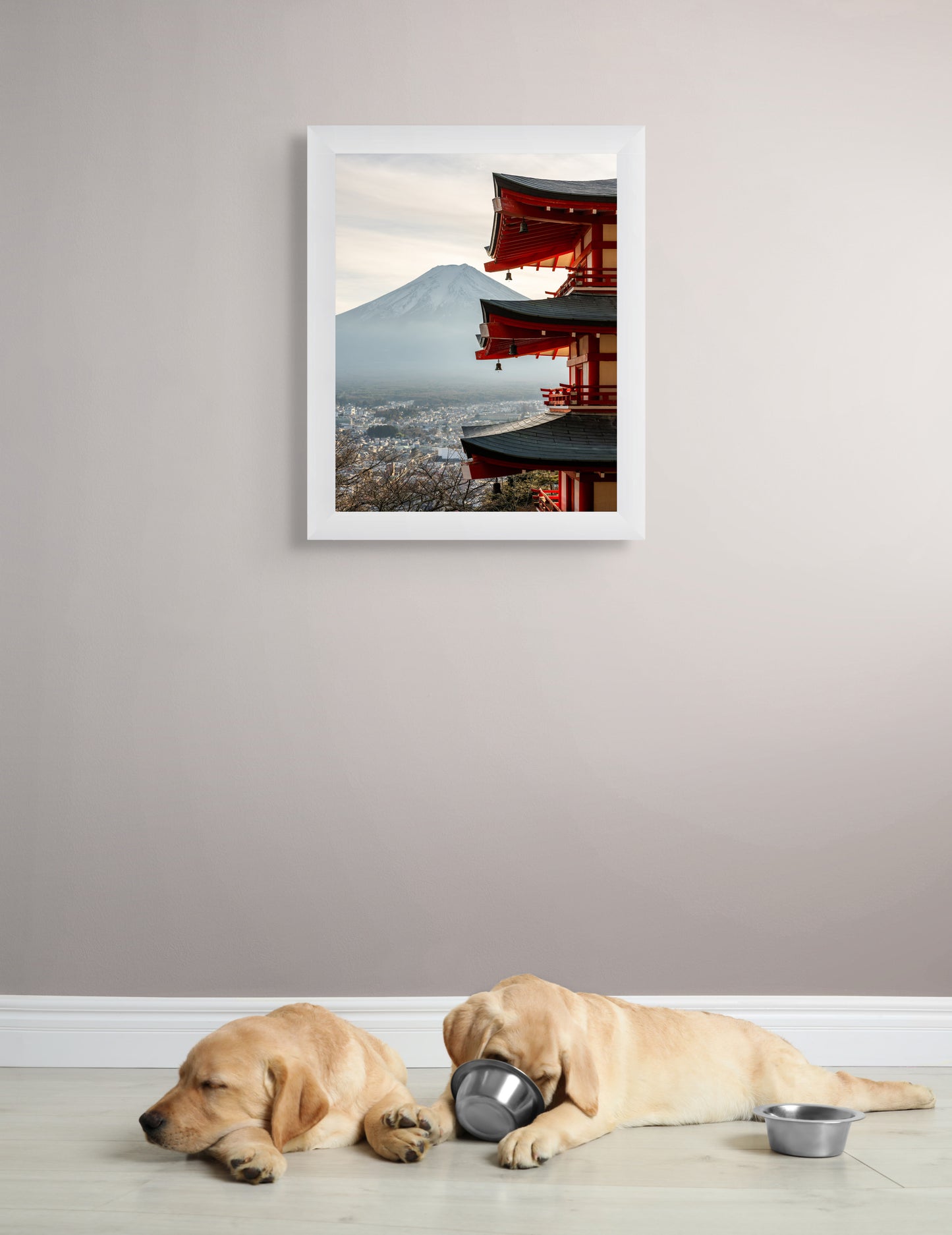 Fuji framed in tradition