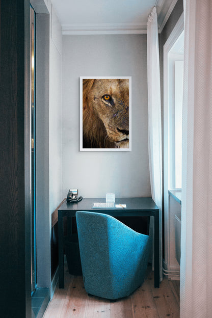 The king’s stare