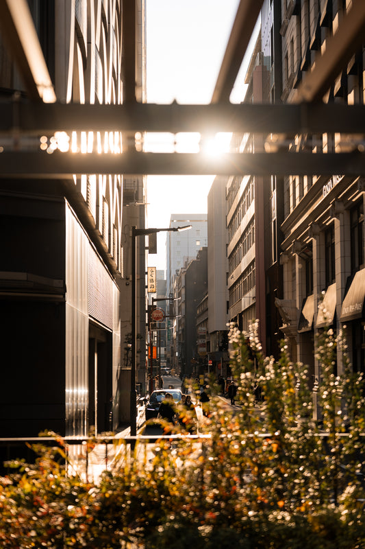 Tokyo gold hour