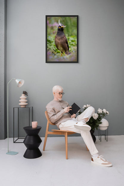 The collector